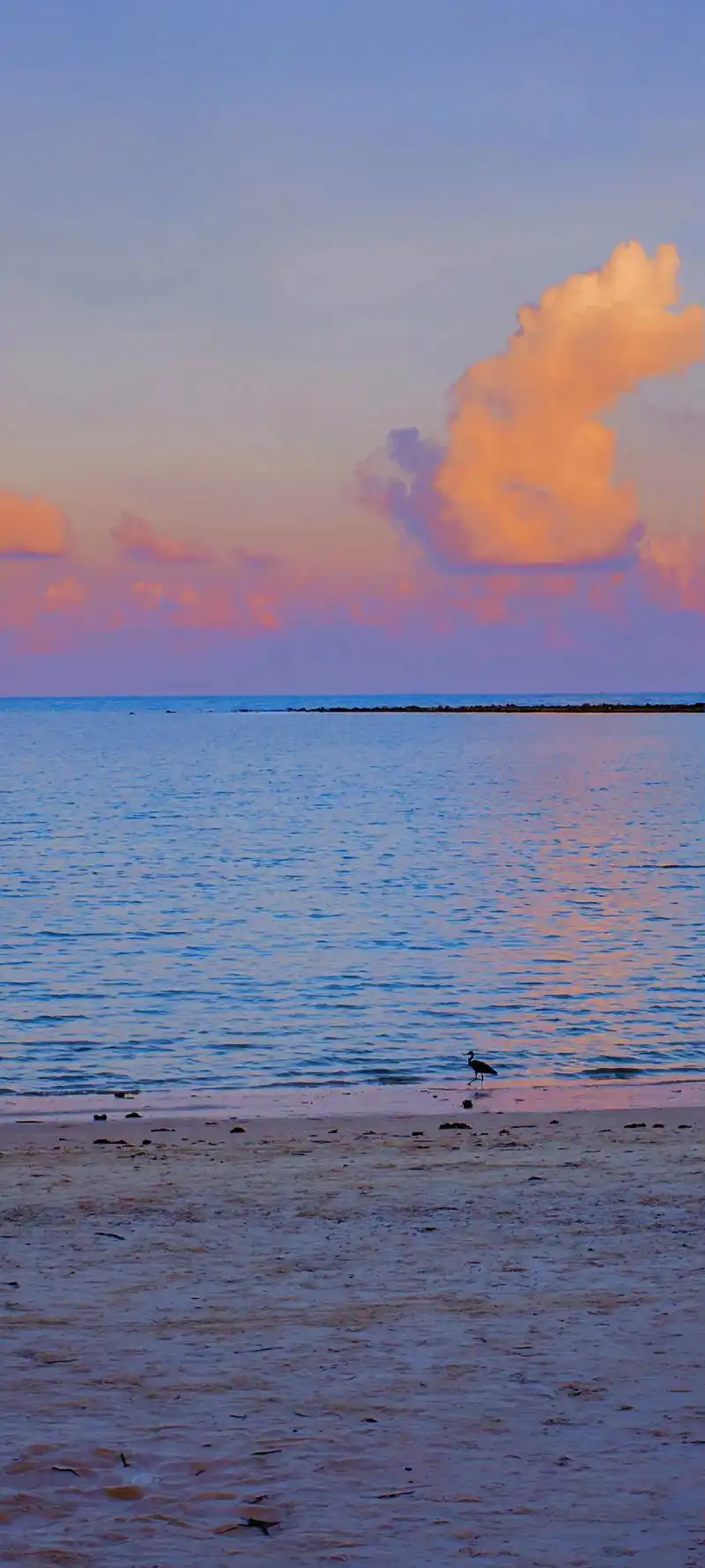 夕阳.#治愈系风景 #壁纸  - 抖音