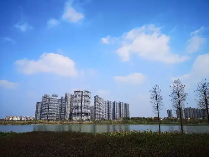 佛山滨江湿地公园