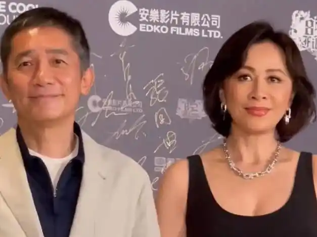 不过,对比叶子楣,刘嘉玲这张脸还算是正常水平.