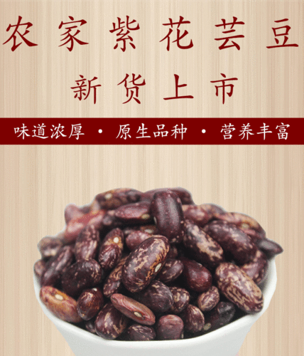 新花芸豆5斤 东北芸豆 饭豆 大芸豆 花腰豆 农家自产紫花芸豆包邮_双