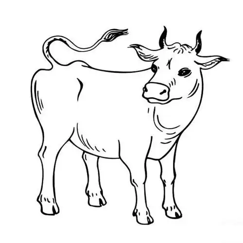 牛素描简笔画 - 简单简笔画