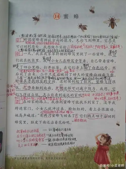 三年级14蜜蜂笔记梳理实验过程感受法布尔严谨的科学态度