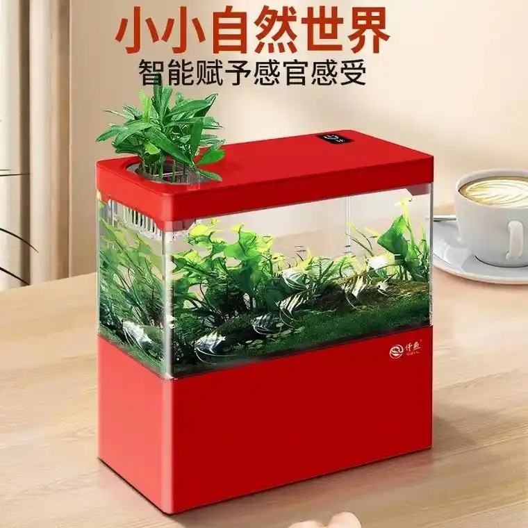 下方小黄车等你们.#水族器材 仟鱼办公桌小鱼缸,底部过滤,免 - 抖音