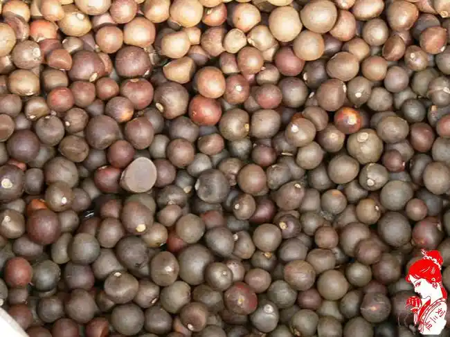 特级巴马野生茶枯粉茶麸茶籽饼洗发乌发生发控油碗洗蔬菜水果首选