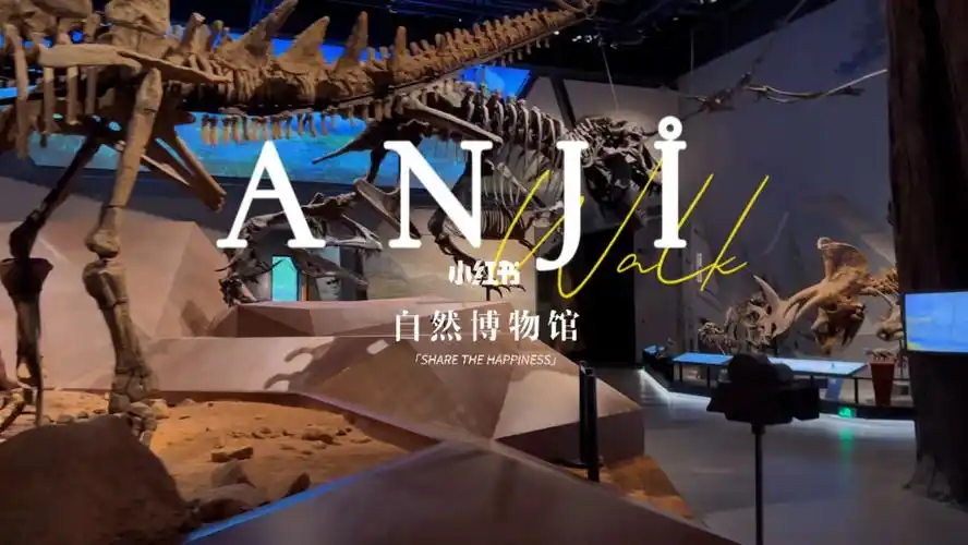 浙江自然博物馆安吉分馆宽敞又自由