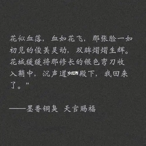 《天官赐福》文字背景图