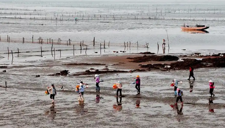 赶海- 手机类-摄影大赛2016 - 国家地理中文网