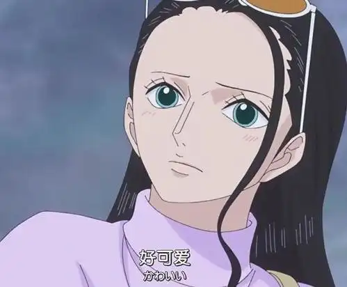 海贼王和之国罗宾头像 - 搜狗图片搜索