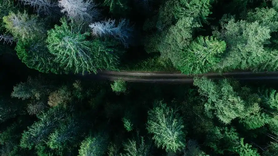 偏远森林路绝美俯瞰,免费高清桌面壁纸下载