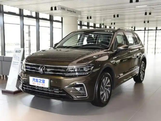 上汽大众 途观l新能源 2021款 430phev 插电混动旗舰版 峻岭棕 车身