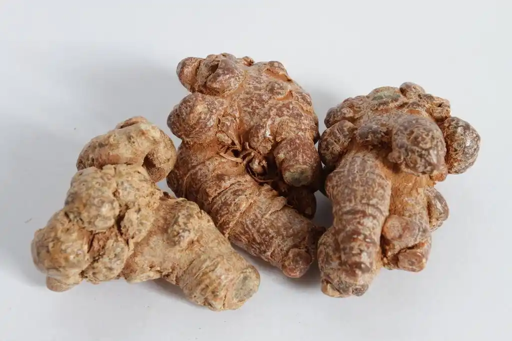 文山三七:好用不是吹的!