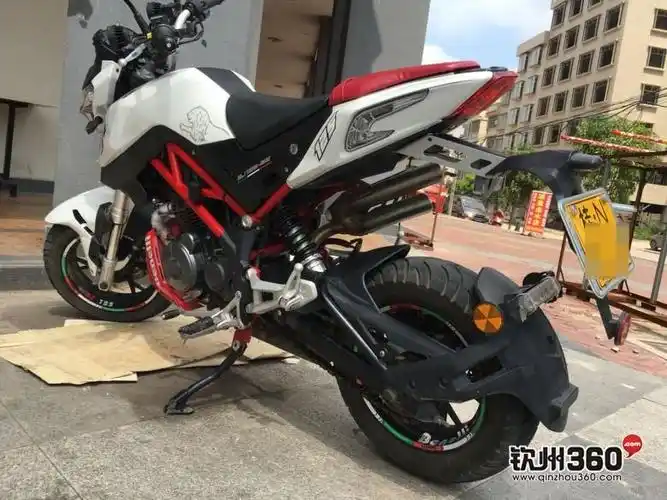 出贝纳利tnt125(小暴龙)