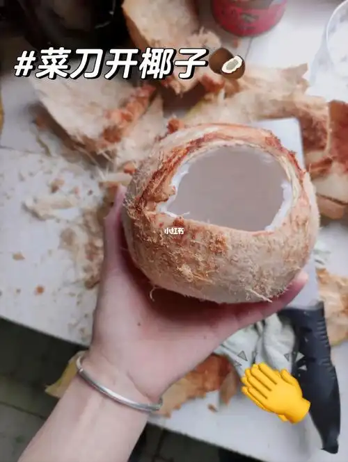 菜刀开椰子05很抱歉以这种方式吃到你