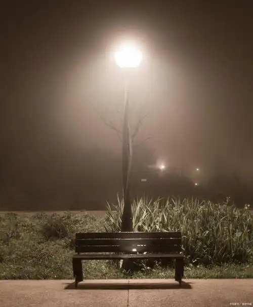 孤独的心情对长夜诉说