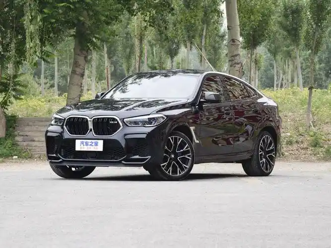 宝马m 宝马x6 m 2020款 x6 m