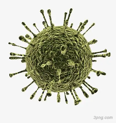 放大的细菌png素材透明免抠图片-其他元素