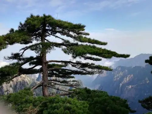 游黄山登天都峰
