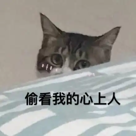 偷看我的心上人(猫咪)_猫咪_心上人_偷看表情