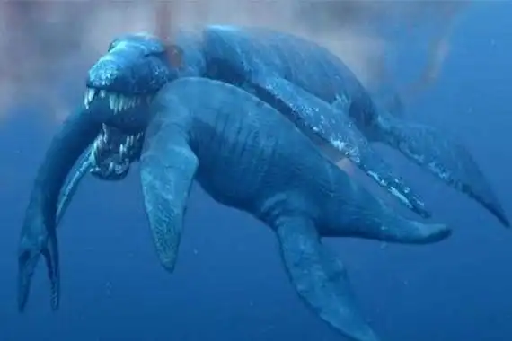 十大灭绝的可怕生物排名,一起看完,不要怂