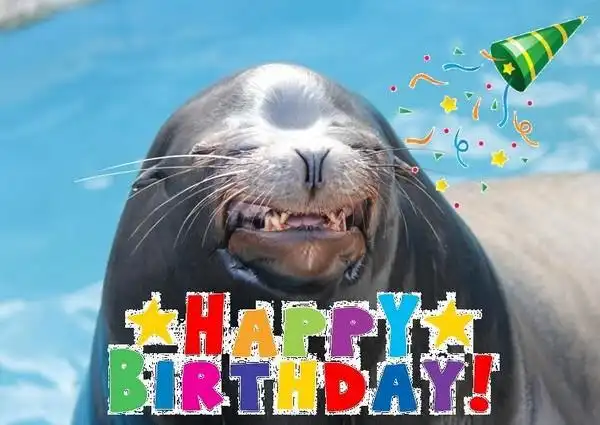 眯起眼睛,露出牙齿! 日秋田「微笑海狮」憨到超疗愈