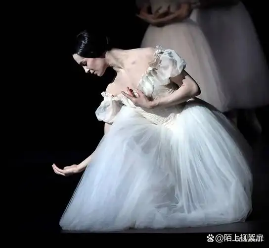 芭蕾谢礼·仙女的谢幕 巴黎歌剧院芭蕾舞团 剧院:opéra de paris