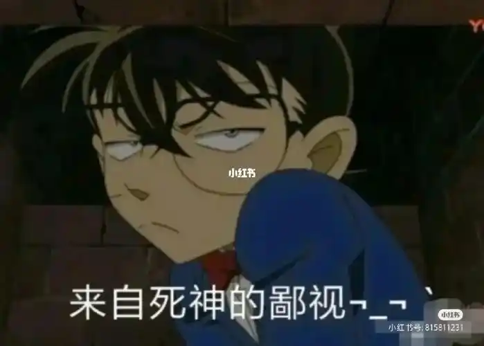 柯南表情包4