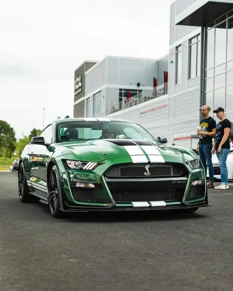 纯正美式肌肉车,福特谢尔比gt500蛇王