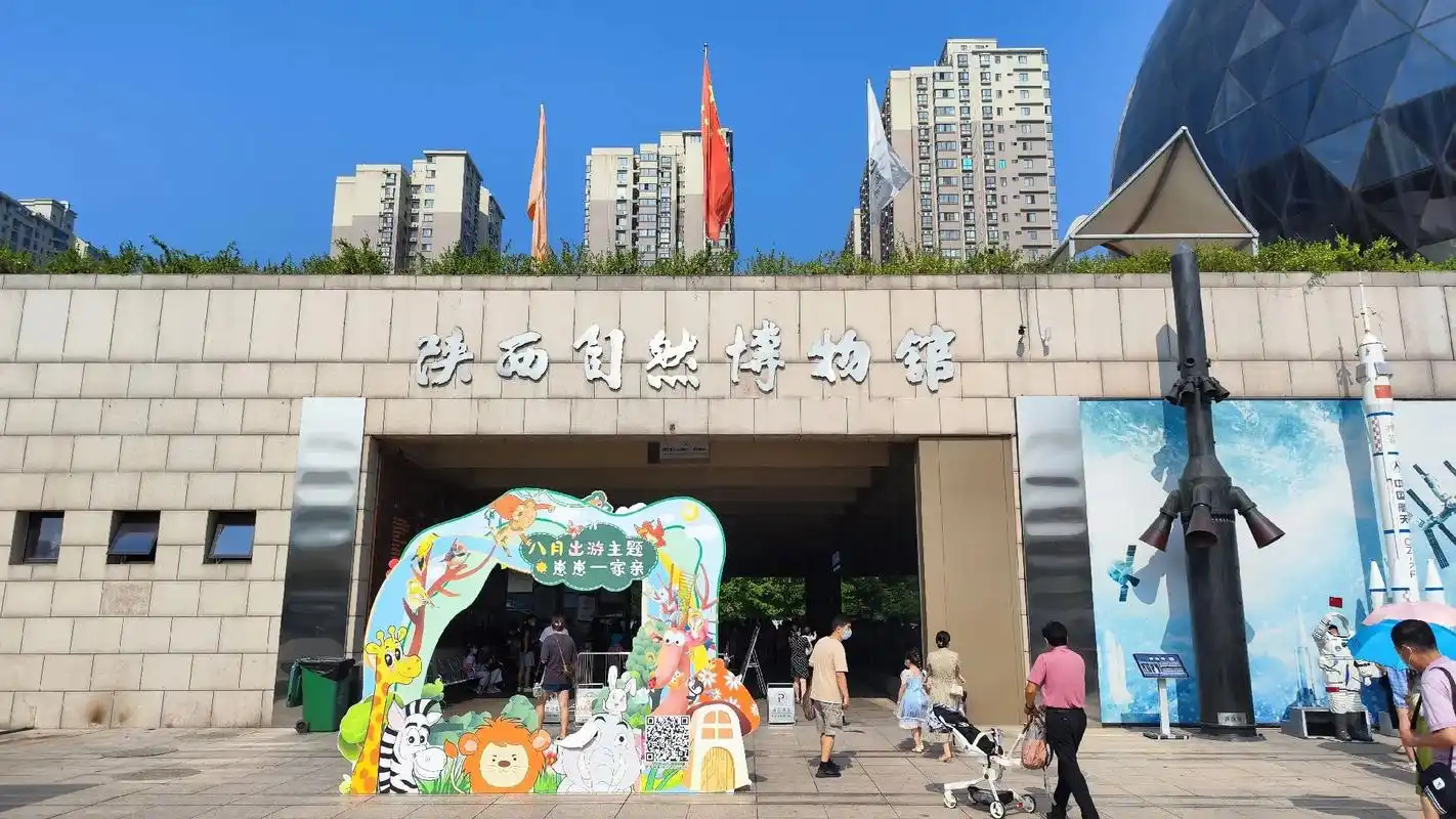 游走在陕西自然博物馆中,看着贝林先生捐献的百 - 抖音