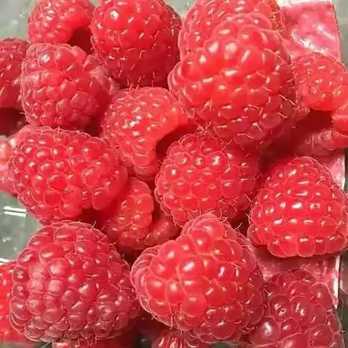 草莓人人皆知,都是有一种酷似草莓的野果,就很少有人知道了,只有农村