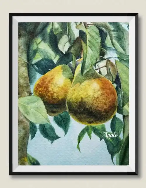 梨子带步骤水彩