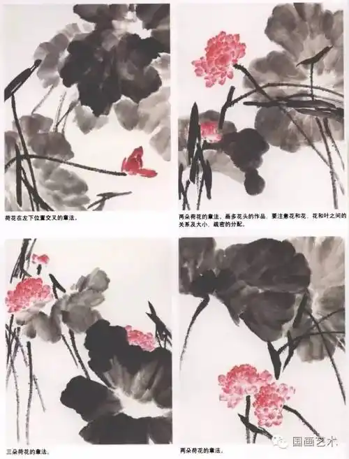 写意荷花100幅附教程