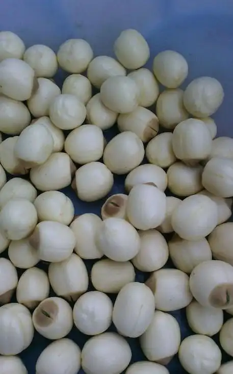 莲花子吃了有什么作用 莲子怎样食用更养生