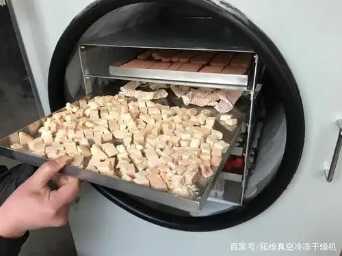 冻干机设备在食品真空冷冻干燥加工的应用