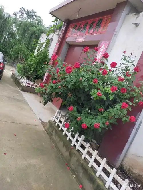 农村田园风光美如画卷