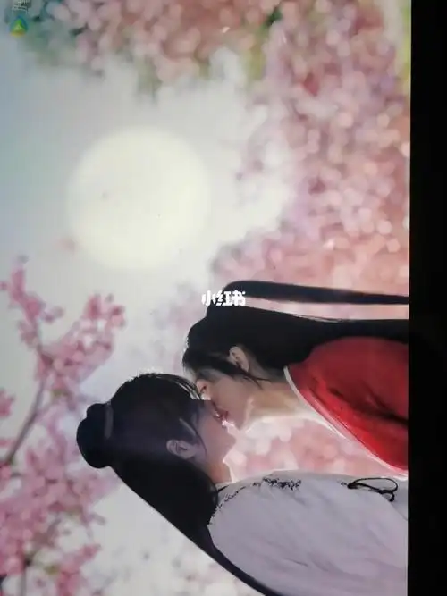 有匪樱花吻来了