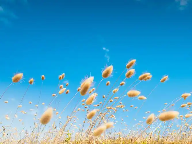 在天晴了的时候壁纸图片