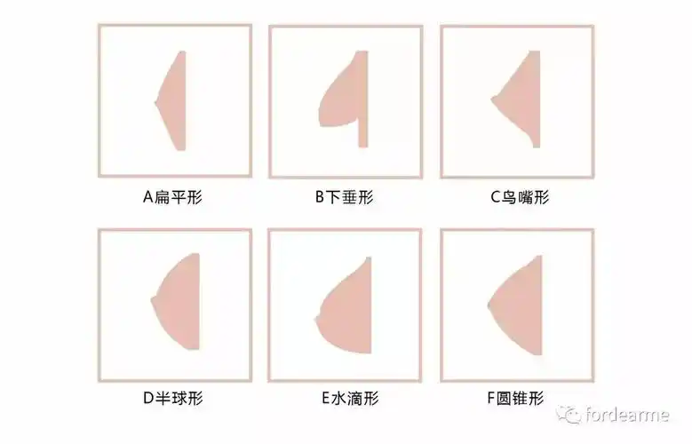 ①半球形,水滴形,圆锥形的乳房是属于外形较理想的乳房.