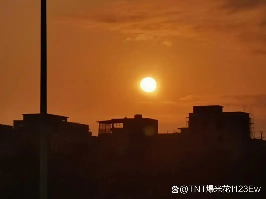 追时代少年团的每一天都是最美好的一天