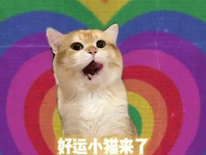 好运小猫来了_好运小猫来了表情包_好运小猫来了绘本故事 - 抖音