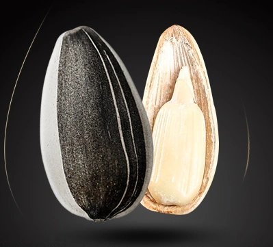 必囤年货: 洽洽 皇葵瓜子礼盒装 110g*5袋*3件