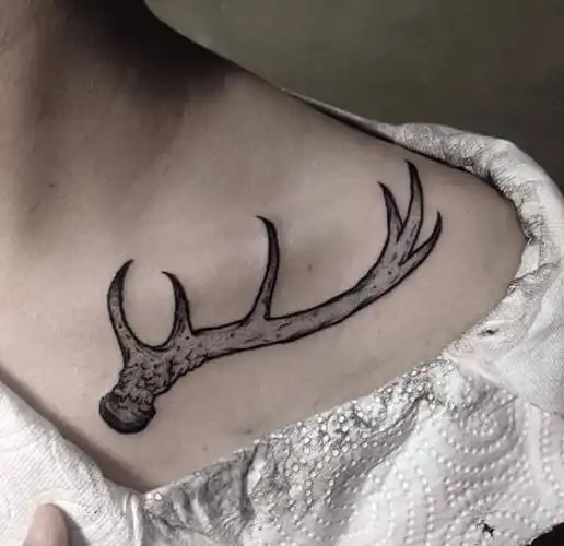 美女锁骨上性感的黑色的麋鹿角纹身图片