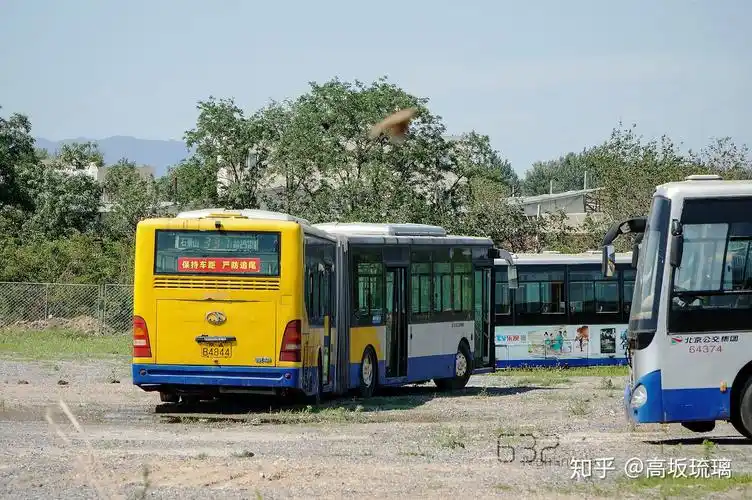 京华客车 bk6181