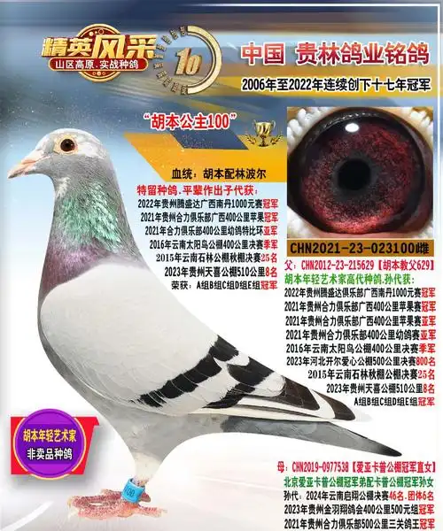 贵州贵林鸽业 - 中信网铭鸽展厅