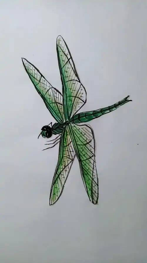 画画原来如此简单#蜻蜓画法过程