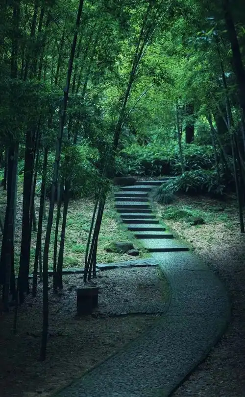 竹最高境界的风骨