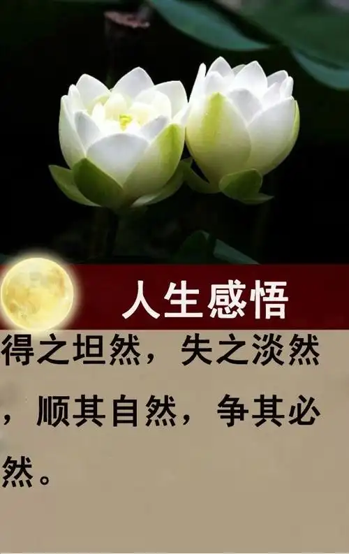 人生感悟12句句句精辟