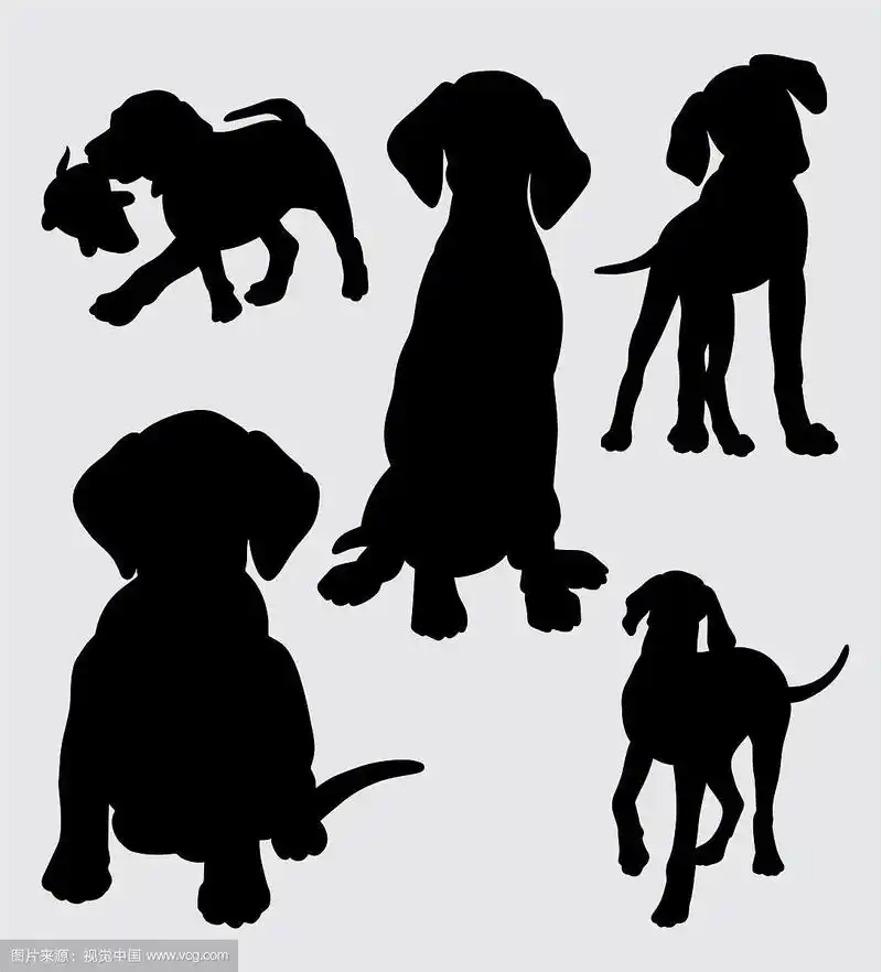 有趣和可爱的狗剪影