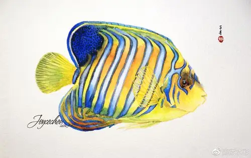 水彩教程皇帝神仙鱼子青左