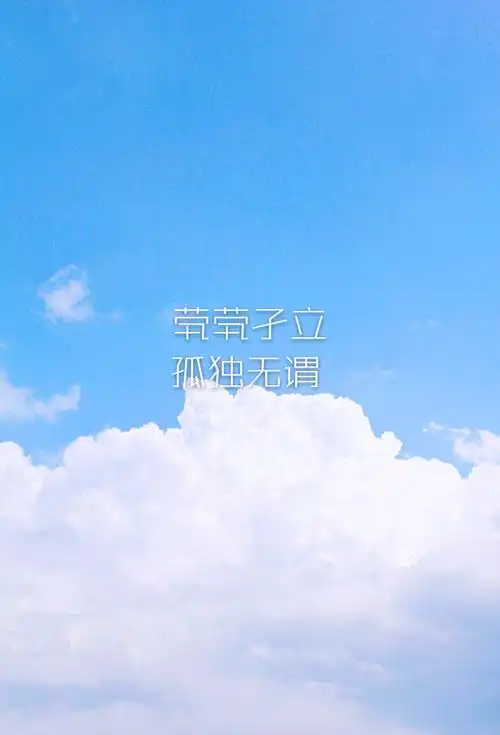 茕茕孑立-『茕(qióng)茕孑立,形容无依无靠,非常孤单』『孤独』