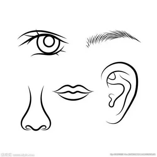 五官手绘矢量设计图__图片素材_其他_设计图库_昵图网nipic.com